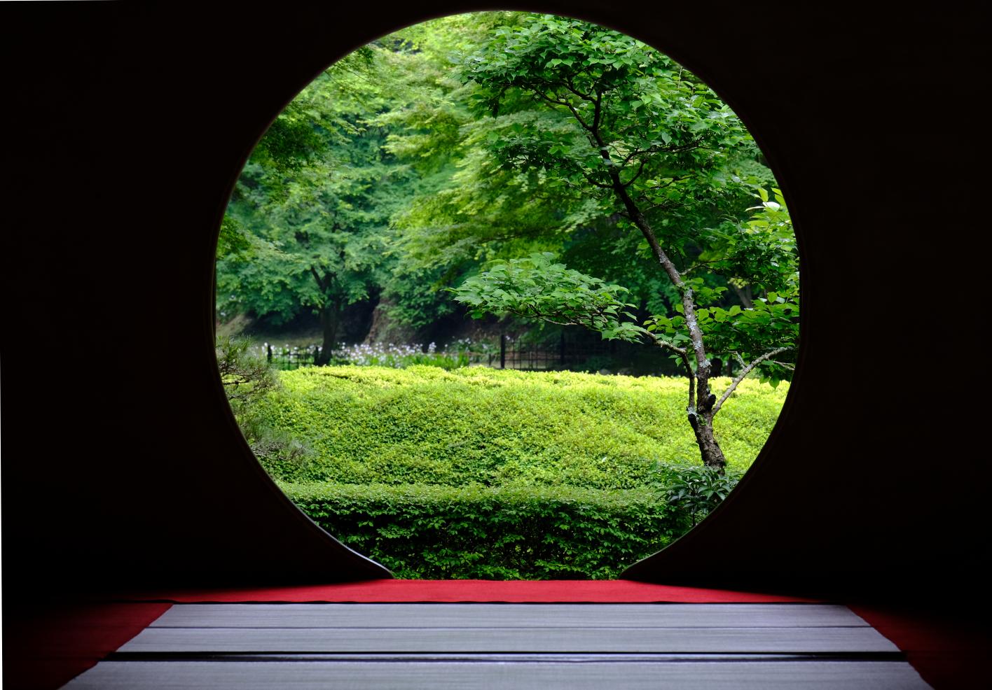 鎌倉の明月院の悟りの窓をx Tで撮ってきた Triphotograph 旅と写真と